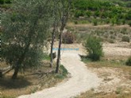 Fotos Noticias 2011
